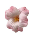 Colorful Flower Hair Clip Daily Styling