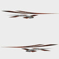 Larson Boat Graphic Decals 0573207C Senza by Larson