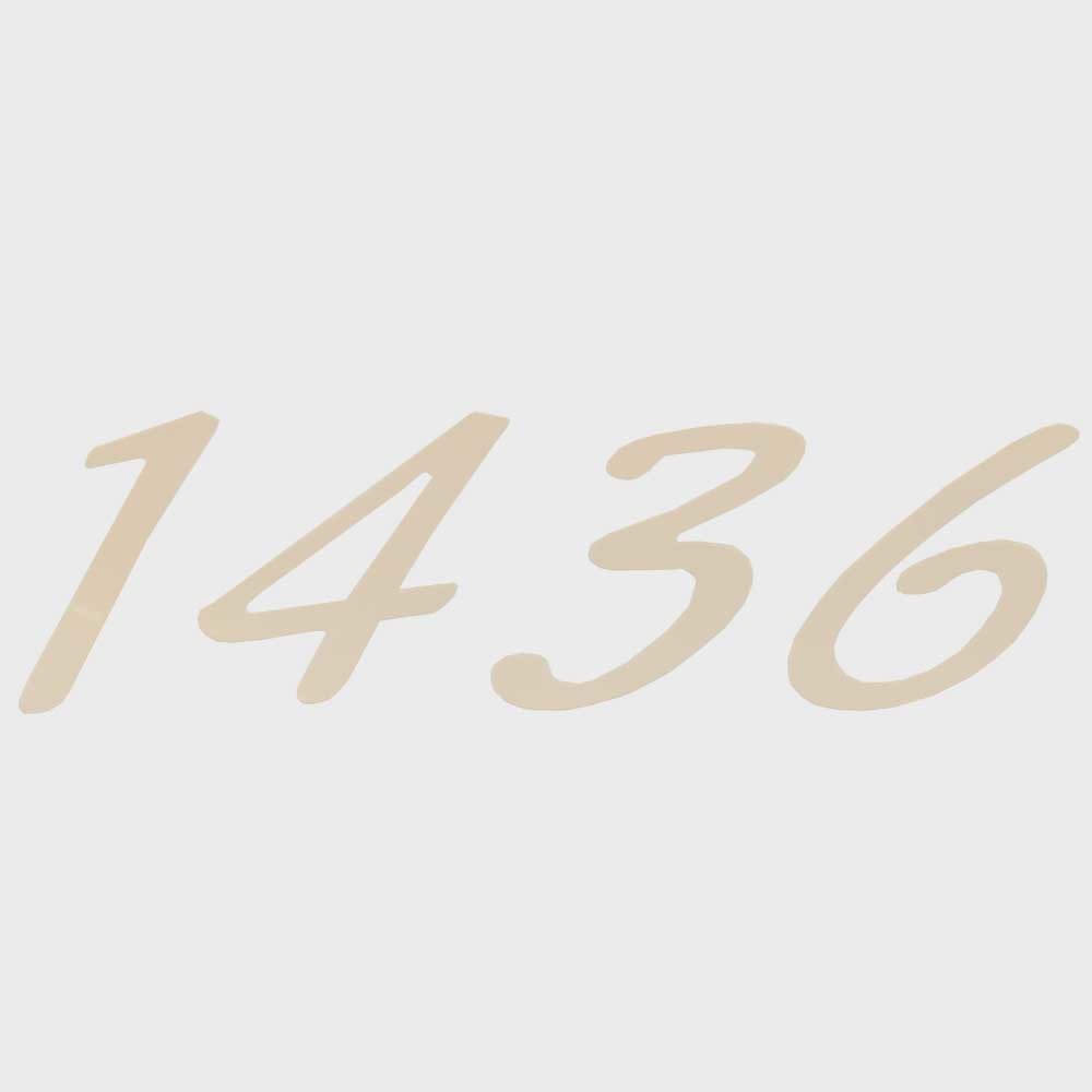 Boat Decal G3 1436 Cream 6 x 1 3/4 Inch by G3