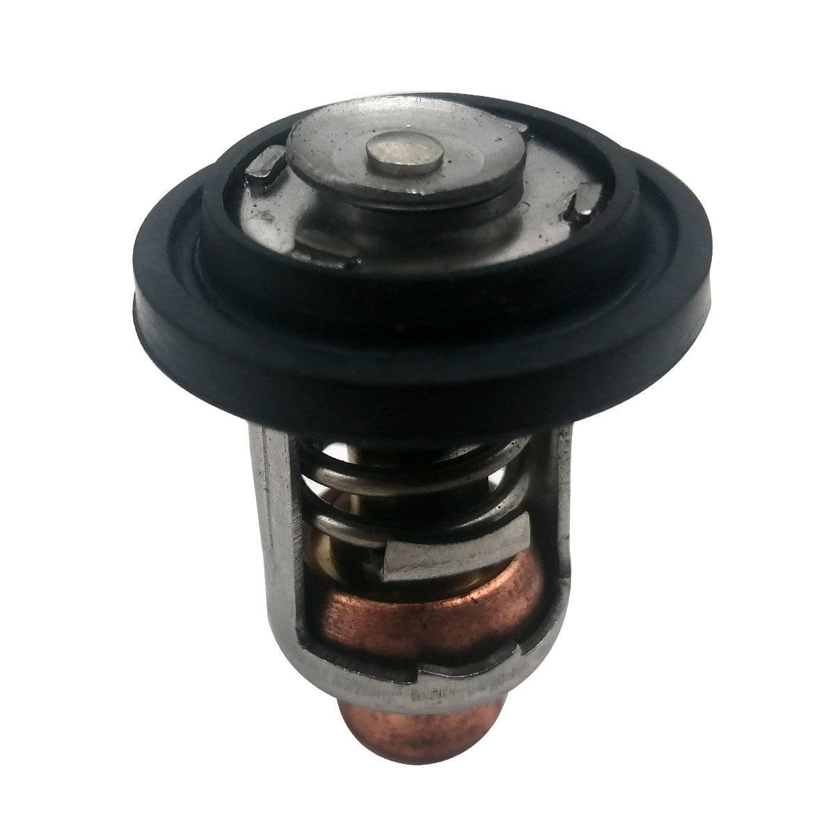 Thermostat & Seals Johnson Evinrude 90-225 HP by Johnson