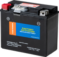 Fire Power Ctx20h (Fa) Ft Sealed Agm Battery For Vehicles 12V 20ah
