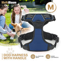 Dog Harness & Leash Set with Reflective Straps