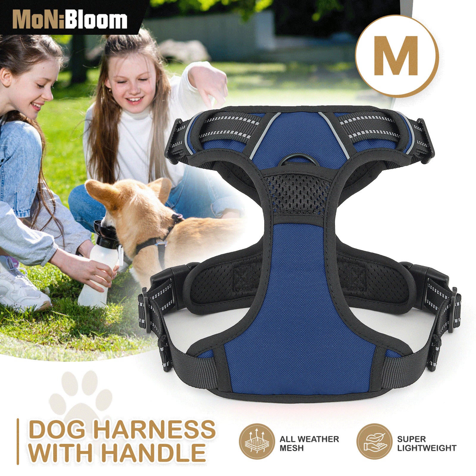 Dog Harness & Leash Set with Reflective Straps