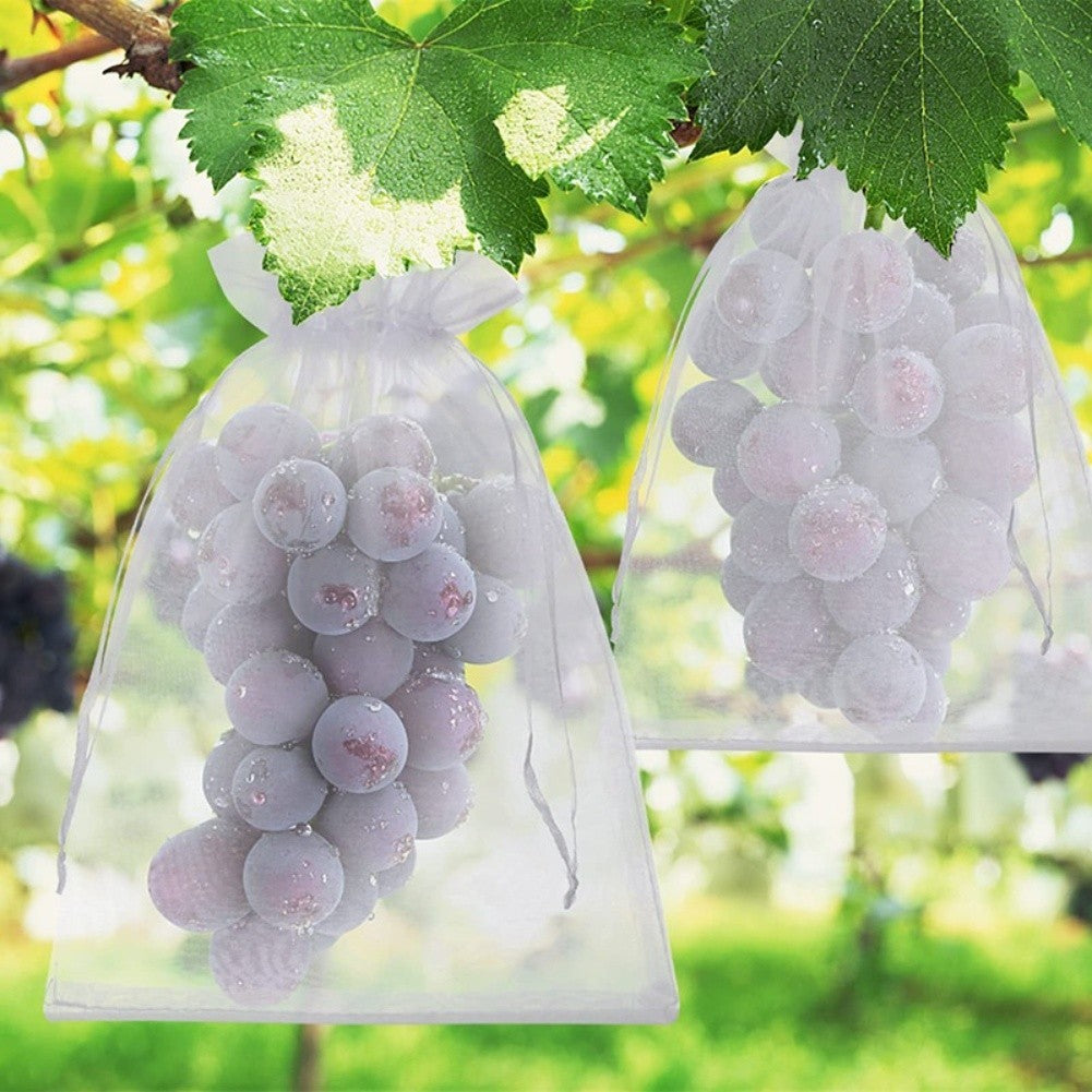 Fruit Mesh Bags for Insect and Moisture Control