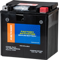 Fire Power Ctx30l (Fa) Ft Sealed Agm Battery For Cars & Trucks 12V