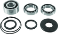 Quadboss 2017 Polaris Rzr 4 900 (02) Front Differential Bearing &