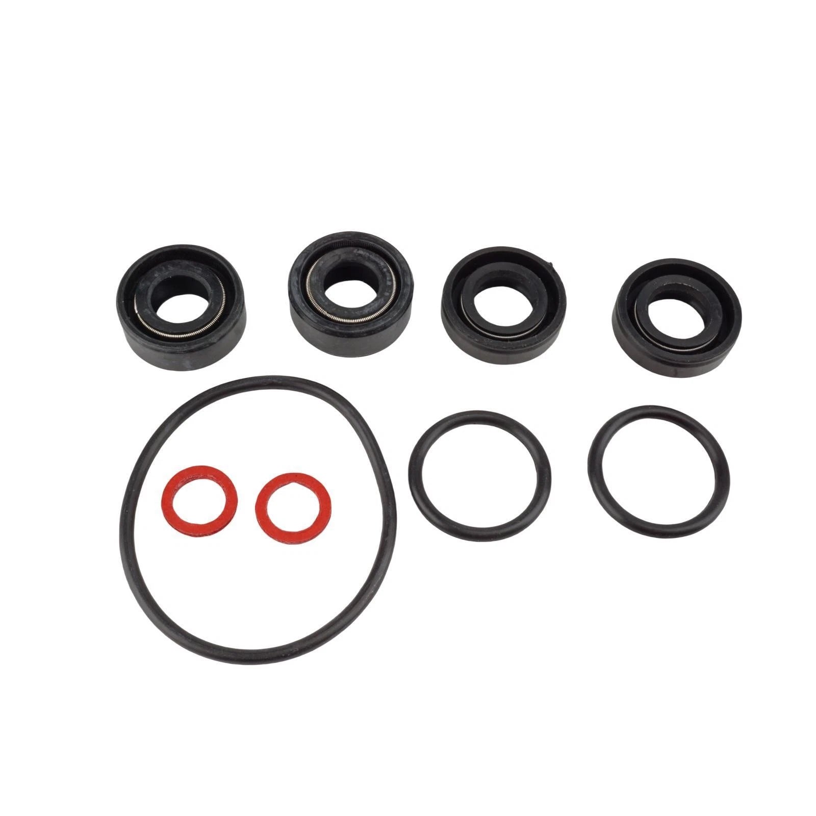 Lower Unit Seal Kit for Yamaha 2HP (6A1/6GD)