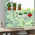 Acrylic Plant Shelf Suction Cup Mounting