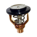 Thermostat Yamaha F300 F350 A B C HP by Yamaha