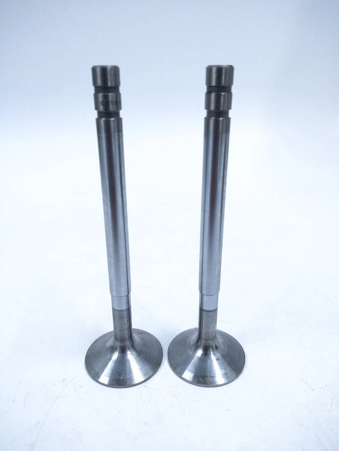 Volvo Penta 421016, Engine Valve, Oem - 2 Pack | Hook & Hull Co