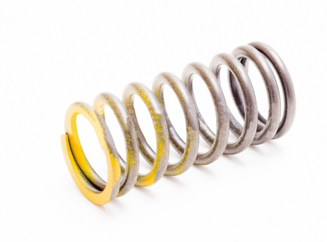 Sea Doo Inner Valve Spring 4-Tec Utopia Islandia Wake SP by Sea Doo
