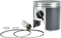Sp1 Piston T Moly For Arctic Cat Snowmobiles 800 Series 2001-2002
