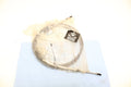 Nos Steering Cable For Sea-doo Gtx Di/ Gtx 4-tec Rxt Wake Pro Gti Gtr