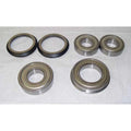 Pv702 Bearing & Seal Kit 350, 350b - Fits Case 310, 350, 350b