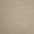 Boat Marine Auto RV Seat Vinyl Taupe