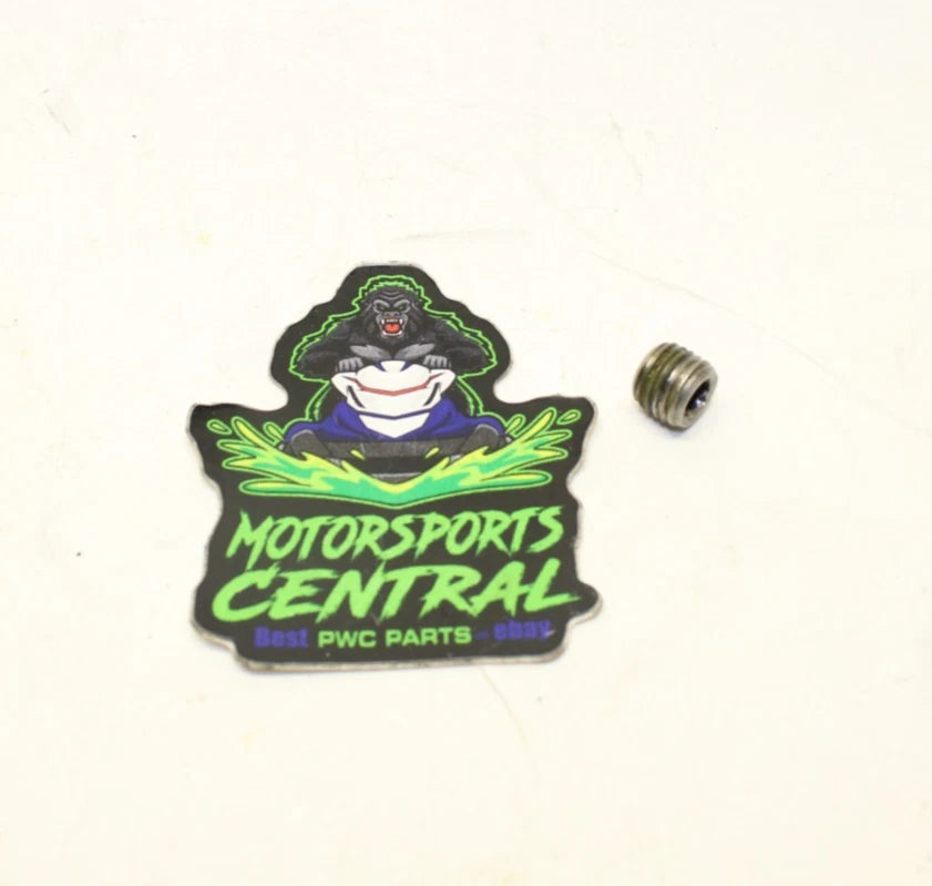Seadoo 1630 1603 Intake Manifold Plug Screw M12 130 170 230 300