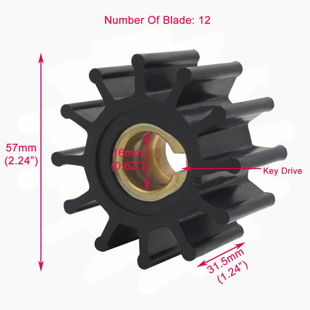 Sea Water Pump Impeller Kit for Johnson/Jabsco 09-801B, 2877-0001