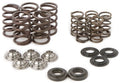 Raptor Spring Kit/ Ti Retainers