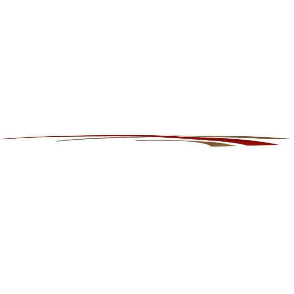 Rinker Boat Hull Graphic Decal 3493-2 Burgundy Gold 1996 by Rinker