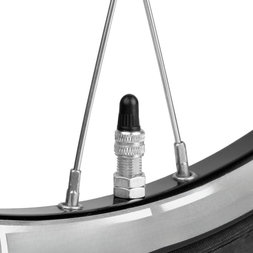 Valve Core with Nickel Plated Cap
