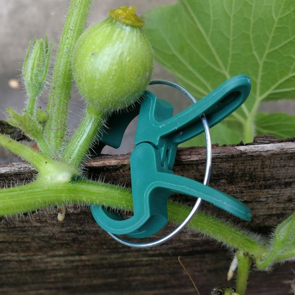 Garden Plant Clips for Gardening