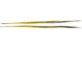 Chaparral Boat Graphic Decal 214 Sunesta Yellow Silver White by Chaparral