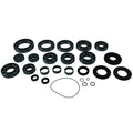 Quadboss 18-20 Polaris Rzr Rs1 Transaxle Bearing Kit