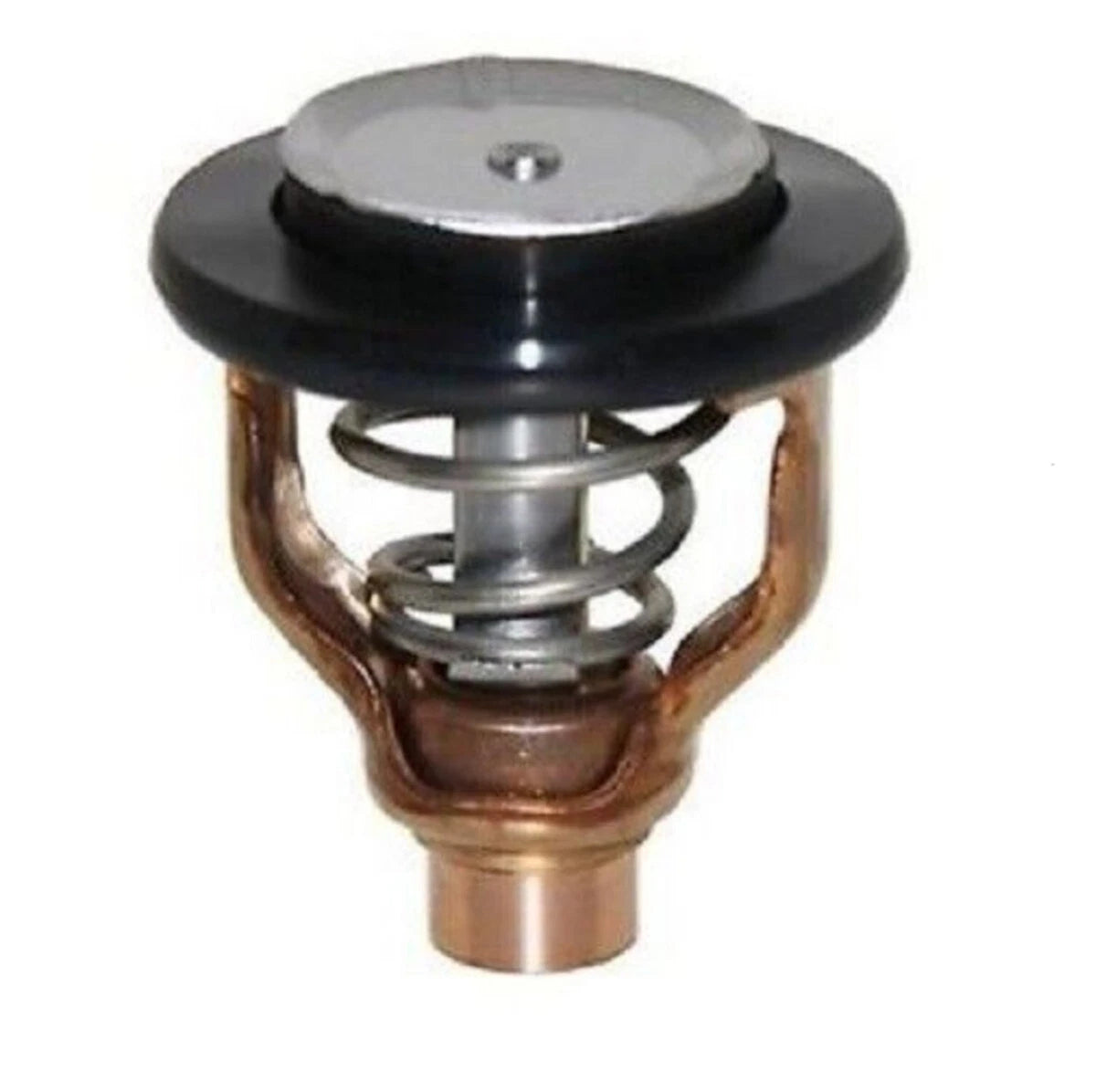 Thermostat Assy For Yamaha F300 &Amp; F350 X-ref: