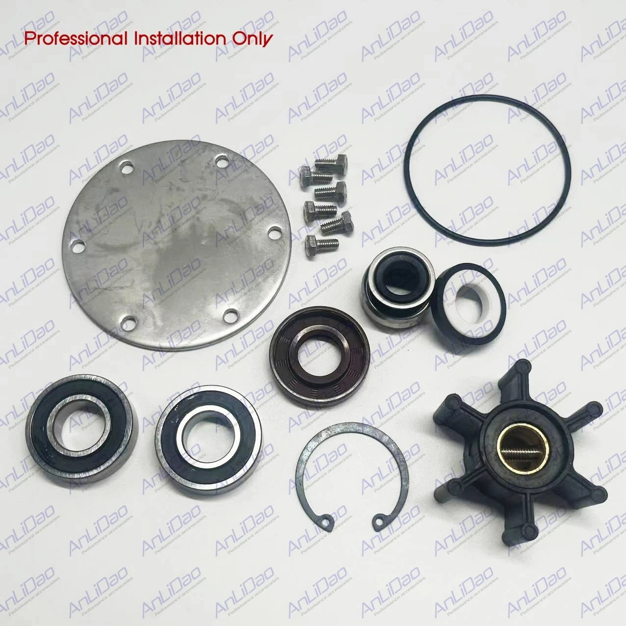 Fit Northern Jabsco Impeller Sea Water Pump Repair Kit 25-12007