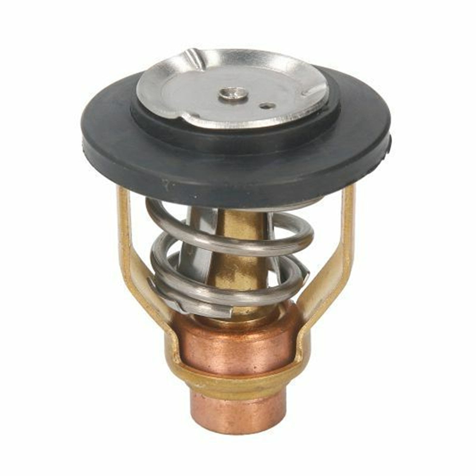 Thermostat for Yamaha Outboard F150/F175/F200 by Yamaha