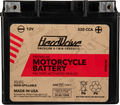 Harddrive Premium V-twin Motorcycle Battery Hrdm720gh – Fits