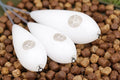 Korda White Surface Interceptor Float Twin Pack by Korda