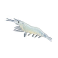 Delicate Shrimp Fishing Bait