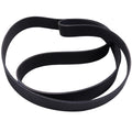 Fan Belt 12pk2315 3100189 013216318 356541c3 Fit | Hook & Hull Co