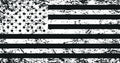 Dragonfire Racing Whip Flag - Tatterd American Flag