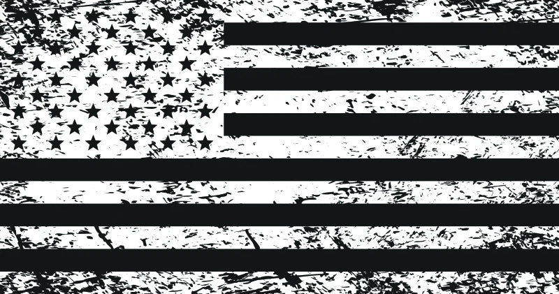 Dragonfire Racing Whip Flag - Tatterd American Flag