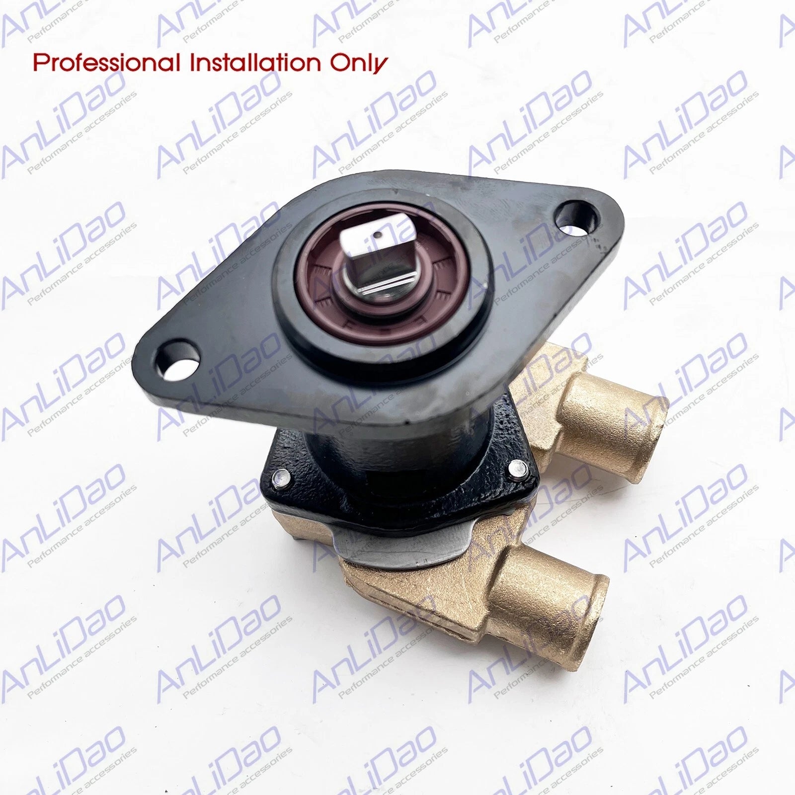 Fit Cummins Onan Engine Mdkbk/l/m/n Mdkdk/m/n Sherwood Water Pump