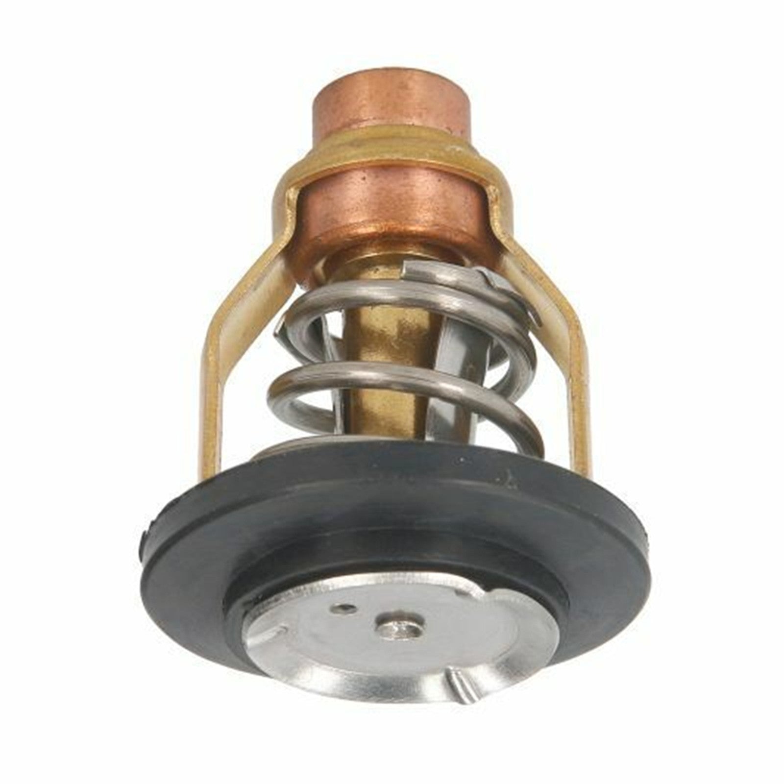 Thermostat Yamaha F200B F200XB by Yamaha