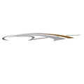 Graphic Decal Rinker Captiva Gold Silver by Rinker
