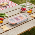 Stainless Lunch Box for Picnics