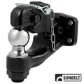 B1cm48190 Pintle Combination And Ball, 2