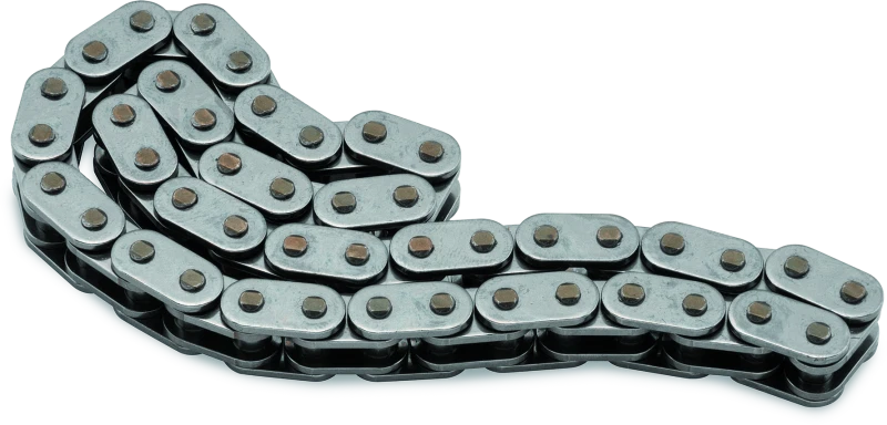 Twin Power 99-06 Twin Cam Exc 06 Dyna Cam Chain Primary Replaces H-d
