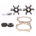 Drummond Utility Water Transfer Pump Kit by Drummond