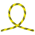 16761 Arborist Rope