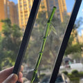 NeoChinese Green Hairpin Women Design