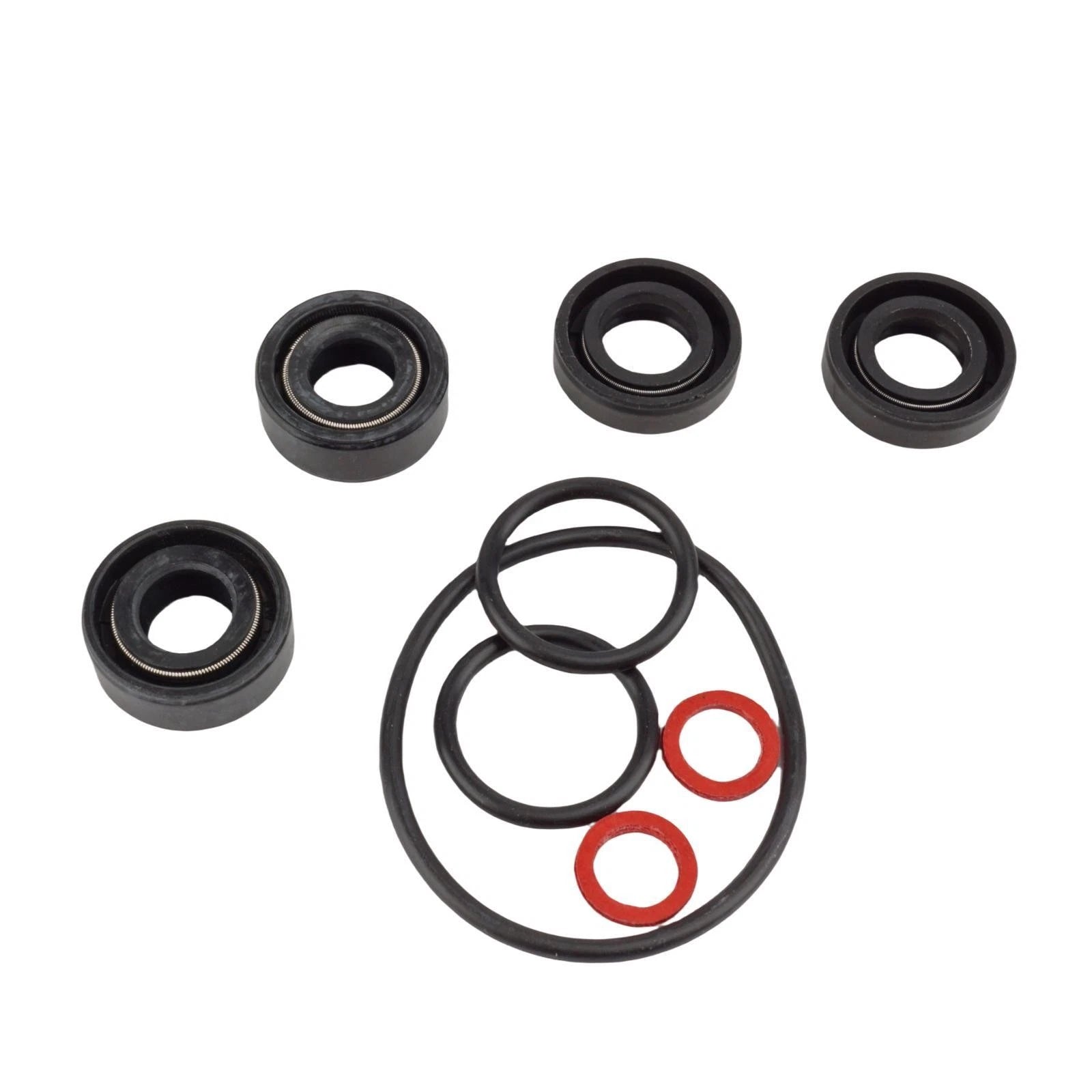 Lower Unit Seal Kit for Yamaha 2HP (6A1/6GD)