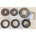 Bearing And Seal Set Fits Case 310 Industrial/con<wbr/>struction