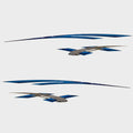 Larson Graphic Boat Decal 05730583 Four Piece 2008 Senza by Larson