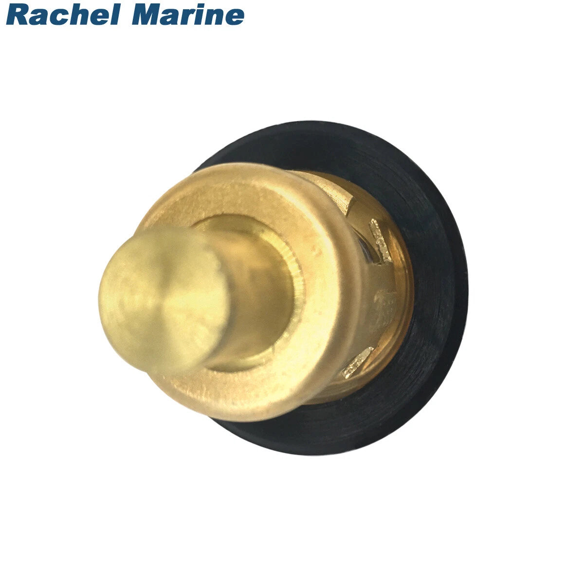 Thermostat Kit – Johnson Evinrude Models