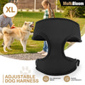 Padded Soft Mesh Dog Harness for Control